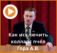 Смотреть видео Смотреть видео