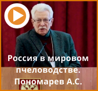 Смотреть видео Смотреть видео