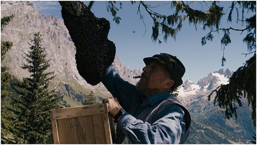 В Австрии защищают медоносных пчел