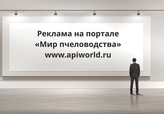Реклама на сайте apiworld.ru Реклама на сайте apiworld.ru