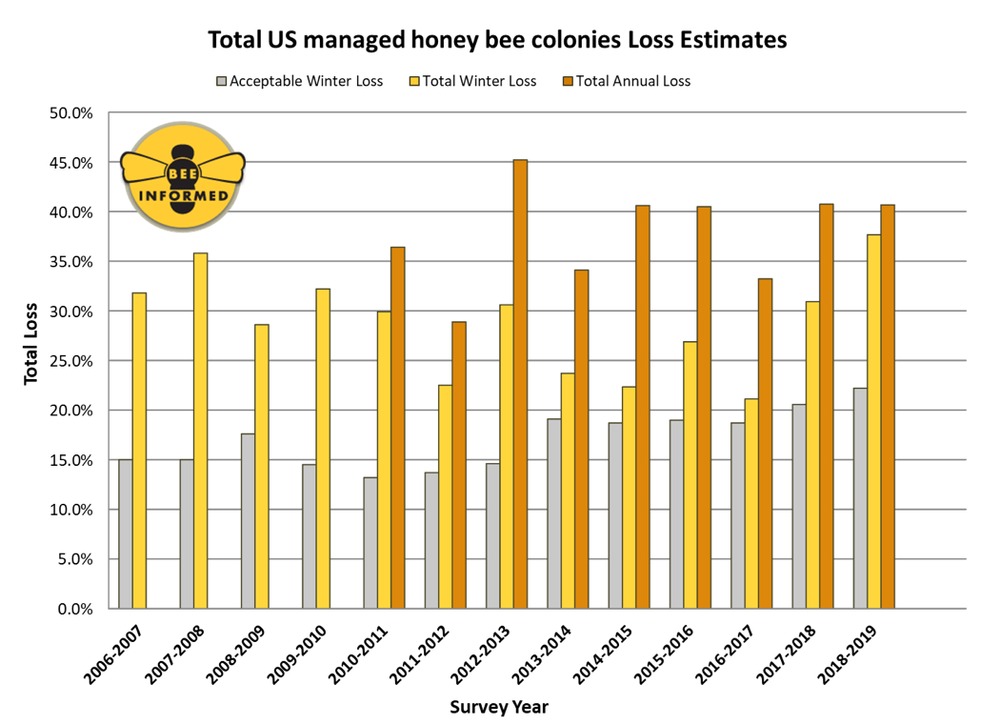 потеря пчел, США, 2018/2019
