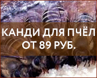 Канди для пчёл Канди для пчёл