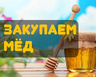 Закупаем мёд! Закупаем мёд!