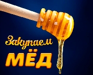 Закупаем мёд! Закупаем мёд!