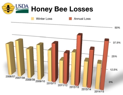 Массовая гибель пчел и ее причины