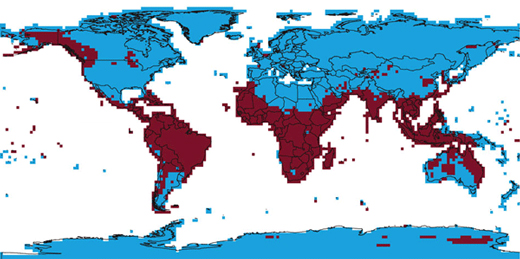 Темно-красным показаны районы, находящиеся под влиянием Эль-Ниньо (Южной осцилляции)