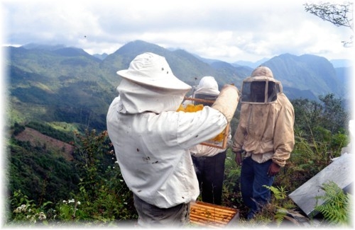 пчеловодство 2014 скачать торрент