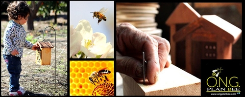 В Чили стартует общенациональная кампания в защиту пчел