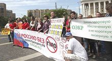 Перспективы ГМО и пчеловодства в России Перспективы ГМО и пчеловодства в России