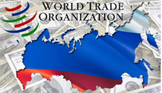 Российское пчеловодство под знаком ВТО Российское пчеловодство под знаком ВТО