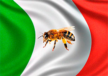 Законодательство о меде в Италии (перевод)