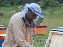 Как создать живую ассоциацию пчеловодов