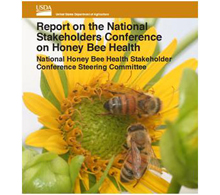 Коллапс пчелиных семей и отношение к неоникотиноидам в США