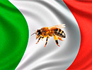 Законодательство о меде в Италии (перевод)