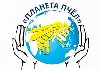 Благотворительный Фонд возрождения и сохранения традиций пчеловодства «Планета пчел» начинает свою работу Благотворительный Фонд возрождения и сохранения традиций пчеловодства «Планета пчел» начинает свою работу
