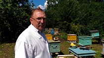 Работа с пробником при продажах мёда Работа с пробником при продажах мёда