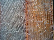 Биодинамическое пчеловодство Биодинамическое пчеловодство