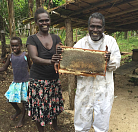 Соломоновы Острова возрождают свое пчеловодство