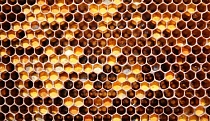 Методы дезинфекции пчеловодного инвентаря Методы дезинфекции пчеловодного инвентаря