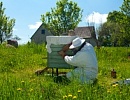 Основные принципы и методы искусственного размножения пчелиных семей (часть 5)