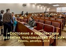Состояние и перспективы развития пчеловодства России