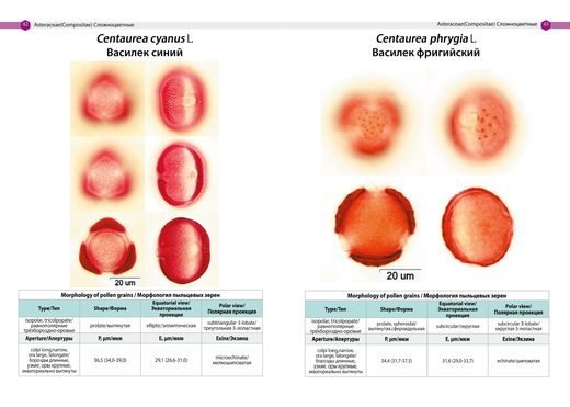 Атлас пыльцевых зерен