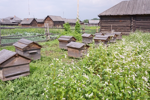 А.Ф. Кунахович, Российская империя