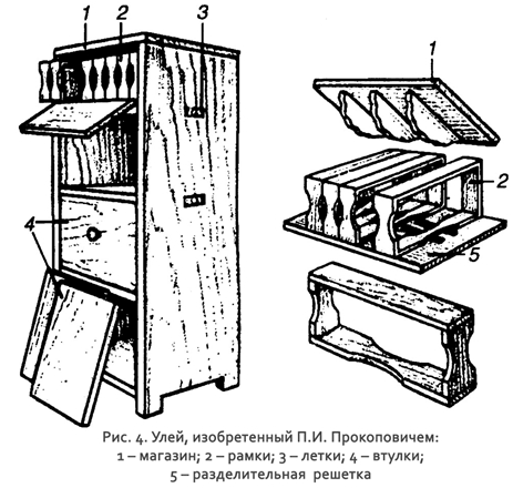 первый в мире рамочный (втулочный) улей