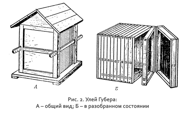 книжный улей