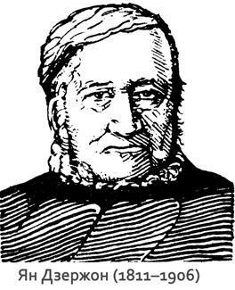 польский ученый Ян Дзержон (1811&ndash;1906)
