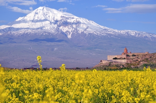 Пчеловодство в Армении