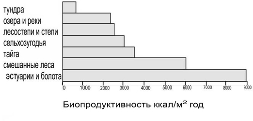 Киров, экосистема, круговорот веществ, исчезновение диких пчел, О. Голуб