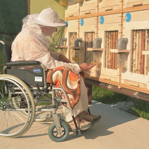Улей для пожилых пчеловодов и инвалидов