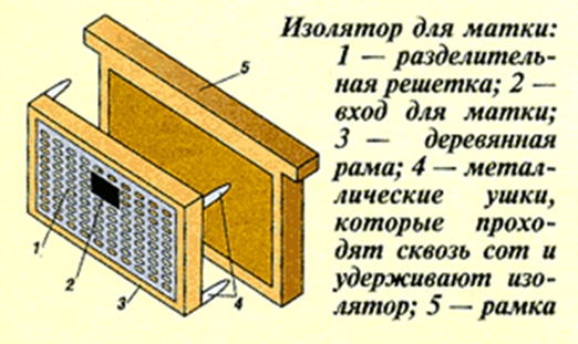 Метод Цебро В.П. 