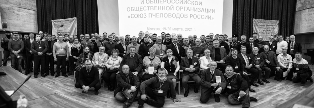 В конце марта делегаты от более пятидесяти пчеловодных объединений создали Союз пчеловодов России