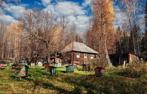 Осеннее формирование гнезда