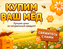 Покупаем мёд