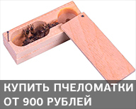 Пчеломатки 2021 в продаже Пчеломатки 2021 в продаже