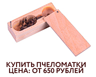 Пчеломатки 2020 в продаже Пчеломатки 2020 в продаже