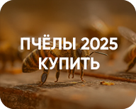 Пчёлы и пчелопакеты 2025 купить!