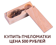 Пчеломатки 2020 в продаже Пчеломатки 2020 в продаже