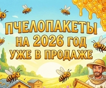 Пчелопакеты 2026 купить!