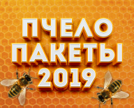 Пчелопакеты 2019! Пчелопакеты 2019!