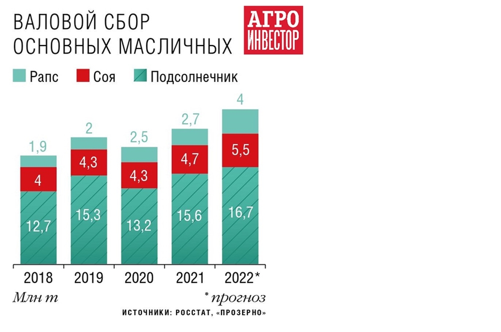 Рост производства рапса в России радует аграриев, но умножает проблемы российских пчеловодов