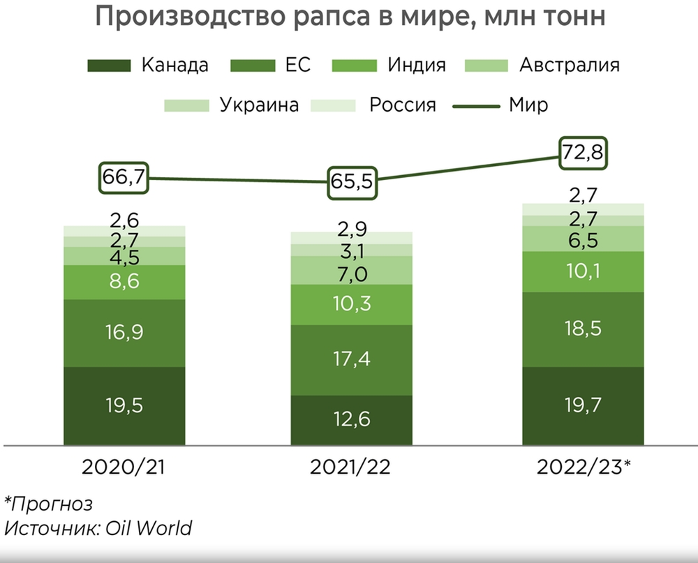 Рост производства рапса в России радует аграриев, но умножает проблемы российских пчеловодов