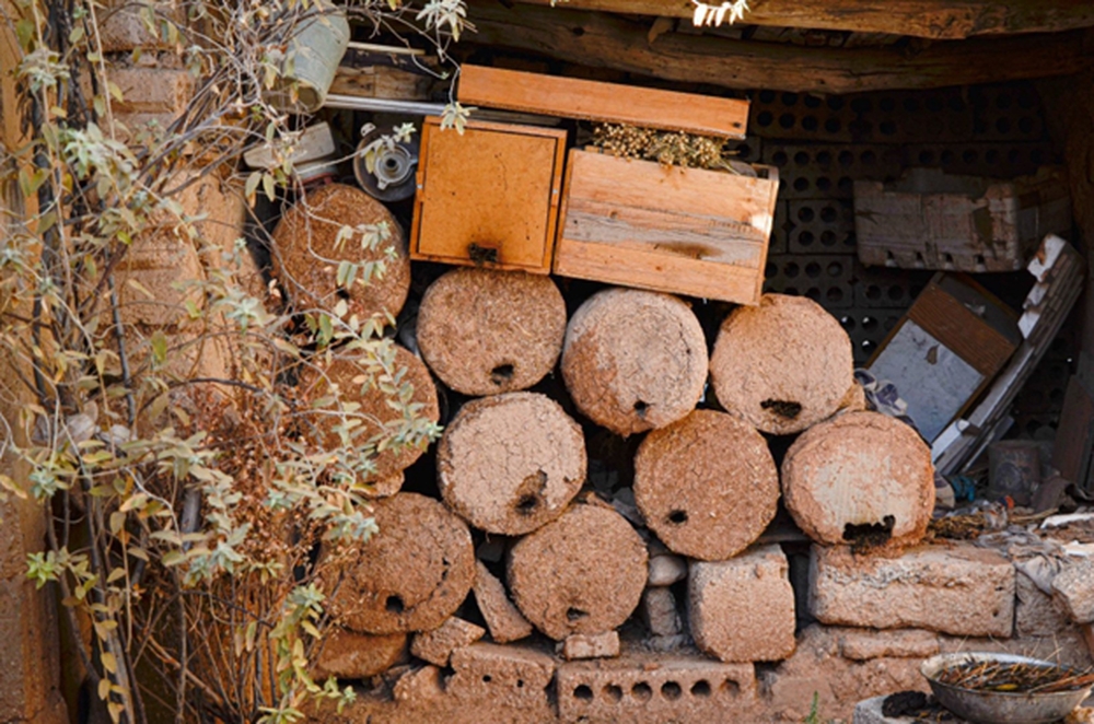 Сирийское пчеловодство, разрушенное в годы гражданской войны, начинает восстанавливать свой потенциал
