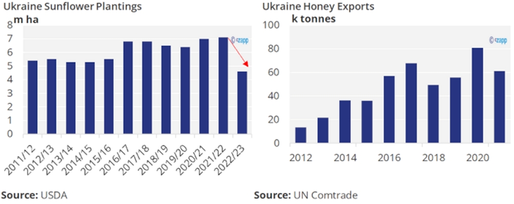 Пчеловодство Украины в 2022 году столкнулось с рядом трудностей
