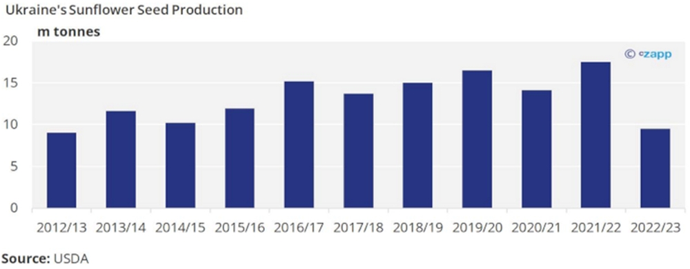 Пчеловодство Украины в 2022 году столкнулось с рядом трудностей