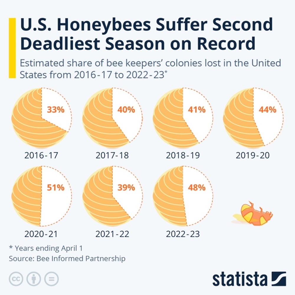 Динамика общих потерь пчелосемей в США с 2016 по 2023 годы