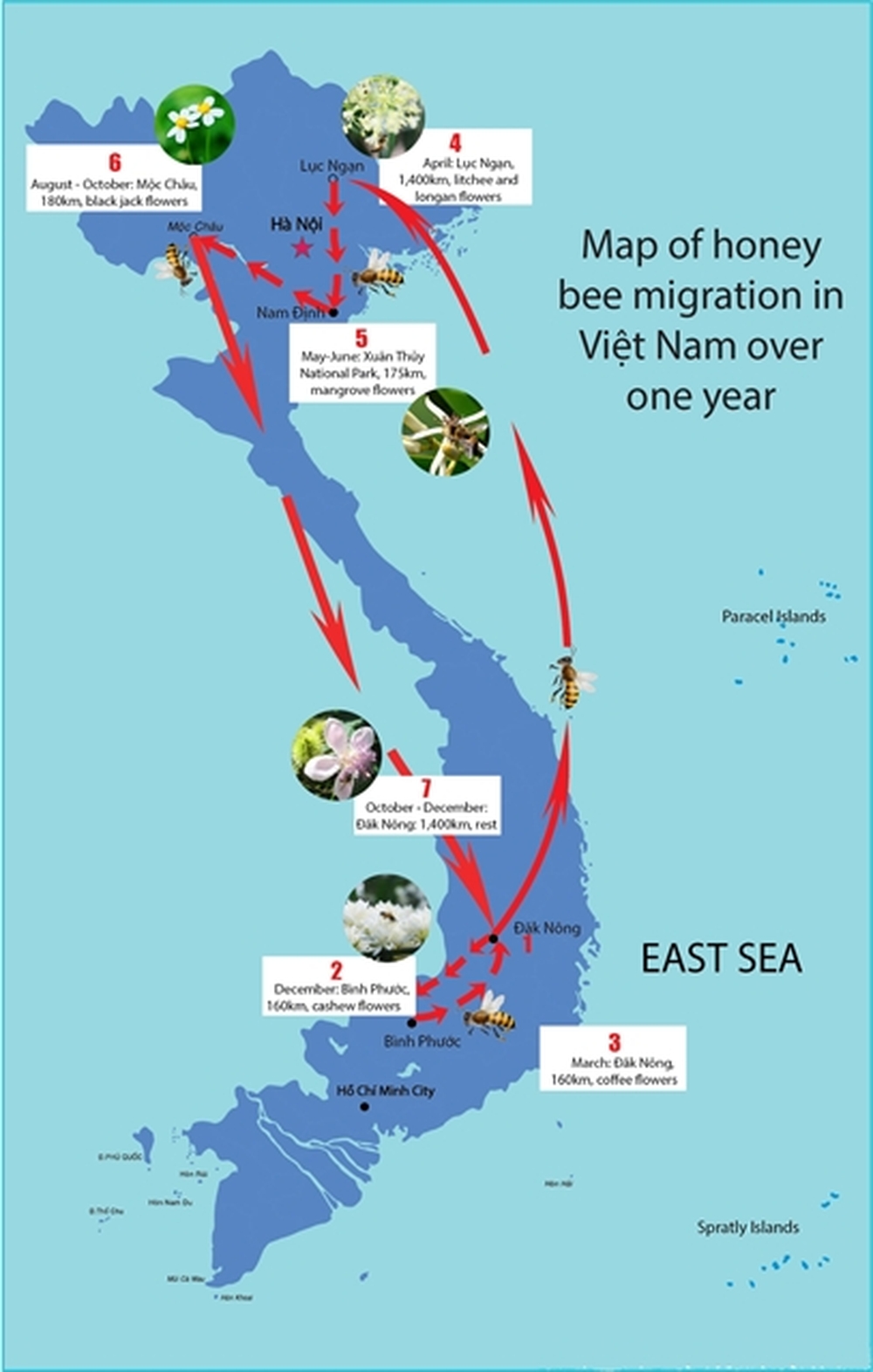 Пчеловодство Вьетнама до недавнего времени стабильно развивалось, однако в 2021 году столкнулось со значительными трудностями из-за введения США антидемпинговых пошлин на вьетнамский мед.